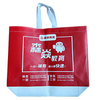 上海LB37培训班广告袋